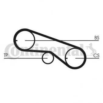 Courroie crantée CONTITECH CT664