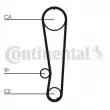 Kit de distribution CONTITECH CT674K1 - Visuel 2