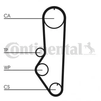 Courroie crantée CONTITECH CT688