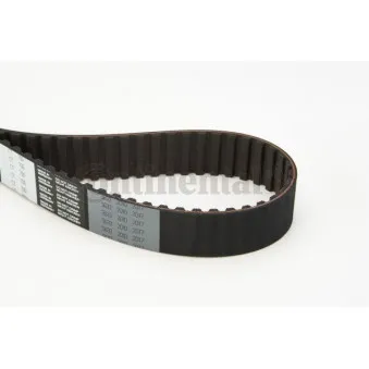 Courroie crantée CONTITECH CT700