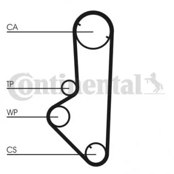 Courroie crantée CONTITECH CT707