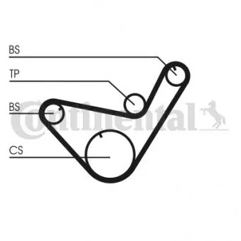 Courroie crantée CONTITECH CT714