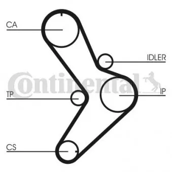 Courroie crantée CONTITECH CT731