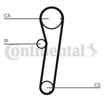 Courroie crantée CONTITECH CT776