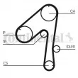 Kit de distribution CONTITECH CT786K1 - Visuel 2