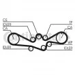 Kit de distribution CONTITECH CT792K2 - Visuel 1