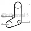 Courroie crantée CONTITECH CT801 - Visuel 2