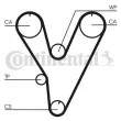 Courroie crantée CONTITECH CT805 - Visuel 1