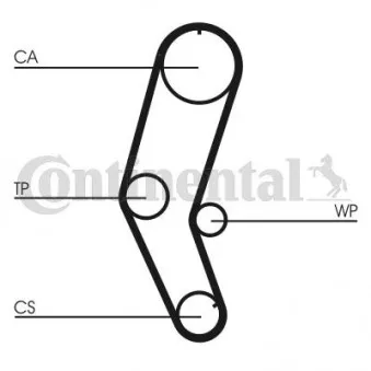 Courroie crantée CONTITECH CT809