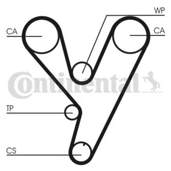 Courroie crantée CONTITECH CT814