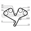 Courroie crantée CONTITECH CT822 - Visuel 1
