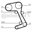 Courroie crantée CONTITECH CT831 - Visuel 1