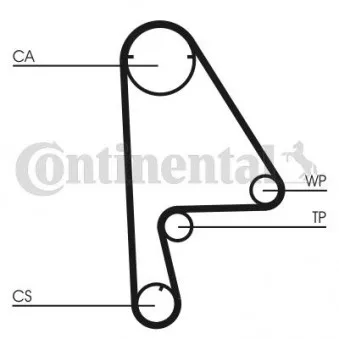 Pompe à eau + kit de courroie de distribution CONTITECH CT862WP1
