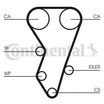 Courroie crantée CONTITECH CT864