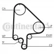 Kit de distribution CONTITECH CT871K2 - Visuel 1