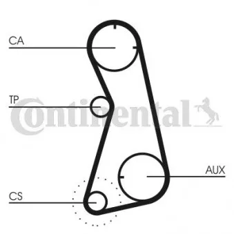 Courroie crantée CONTITECH CT872