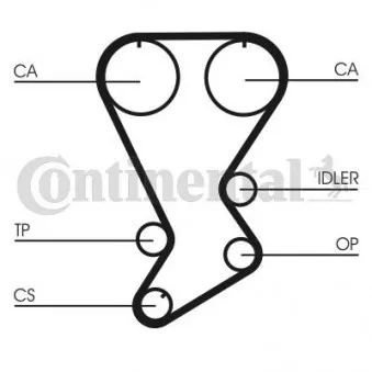 Courroie crantée CONTITECH CT875