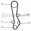 Courroie crantée CONTITECH CT876 - Visuel 1