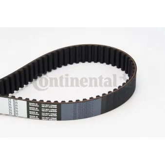 Courroie crantée CONTITECH CT877