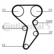 Courroie crantée CONTITECH CT879 - Visuel 1