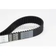 Courroie crantée CONTITECH CT884 - Visuel 1