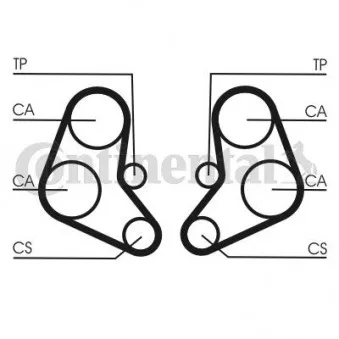 Courroie crantée CONTITECH CT886