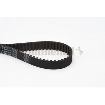 Courroie crantée CONTITECH CT887