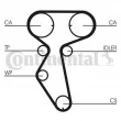 Courroie crantée CONTITECH CT887 - Visuel 2