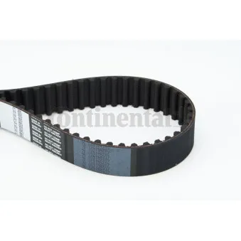 Courroie crantée CONTITECH CT891