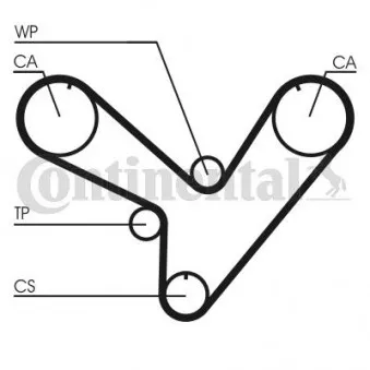 Courroie crantée CONTITECH CT893