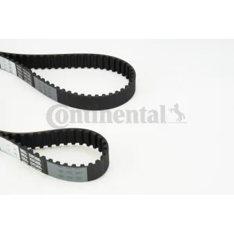 Courroie crantée CONTITECH CT901(SET)