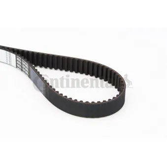Courroie crantée CONTITECH CT909
