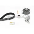 Kit de distribution CONTITECH CT919K4 - Visuel 1