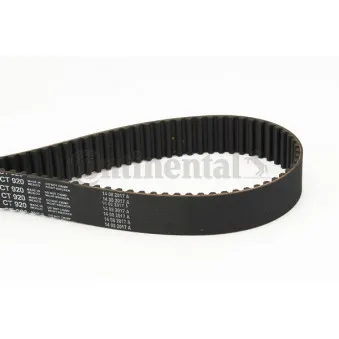 Courroie crantée CONTITECH CT920