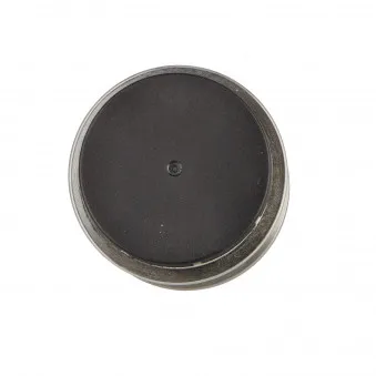 Poulie roue libre, alternateur MOTORO MT31787