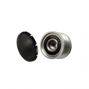 Poulie roue libre, alternateur MOTORO MT31723