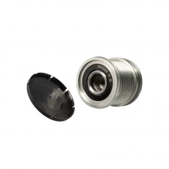 Poulie roue libre, alternateur MOTORO MT31753