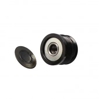 Poulie roue libre, alternateur MOTORO MT31781