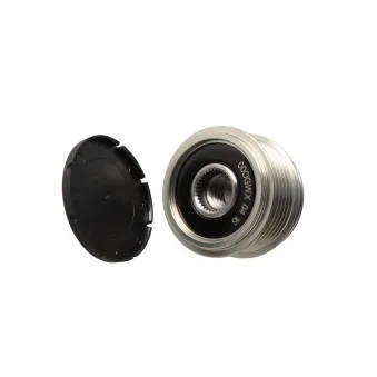 Poulie roue libre, alternateur MOTORO MT31595