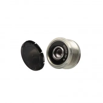 Poulie roue libre, alternateur MOTORO MT31817