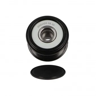 Poulie roue libre, alternateur MOTORO MT31831
