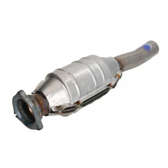 Catalyseur JMJ 1080029