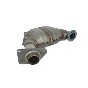 Catalyseur JMJ 1080370