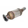 Catalyseur JMJ 1090135 - Visuel 1