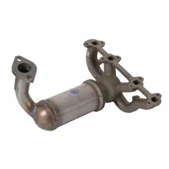 Catalyseur JMJ 1091015