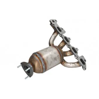 Catalyseur JMJ 1091021