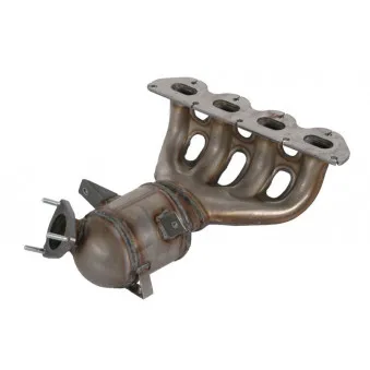 Catalyseur JMJ 1091025