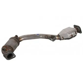 Catalyseur JMJ 1091581
