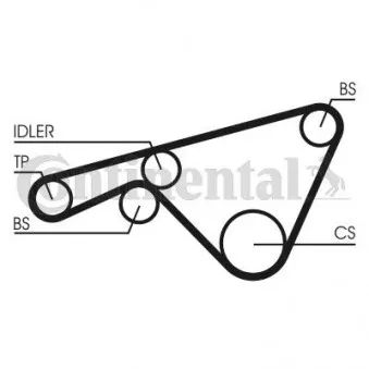 Courroie crantée CONTITECH CT925