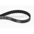 Courroie crantée CONTITECH CT927 - Visuel 1